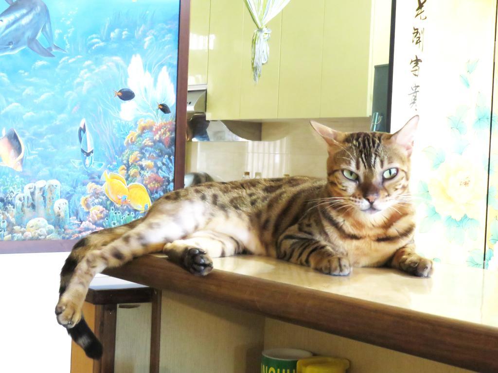 Tou Cheng Whale Watching Homestay Toucheng Bagian luar foto
